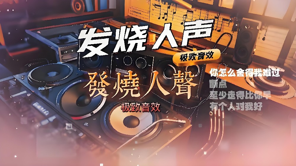 发烧人声 - 32G装满       共161首